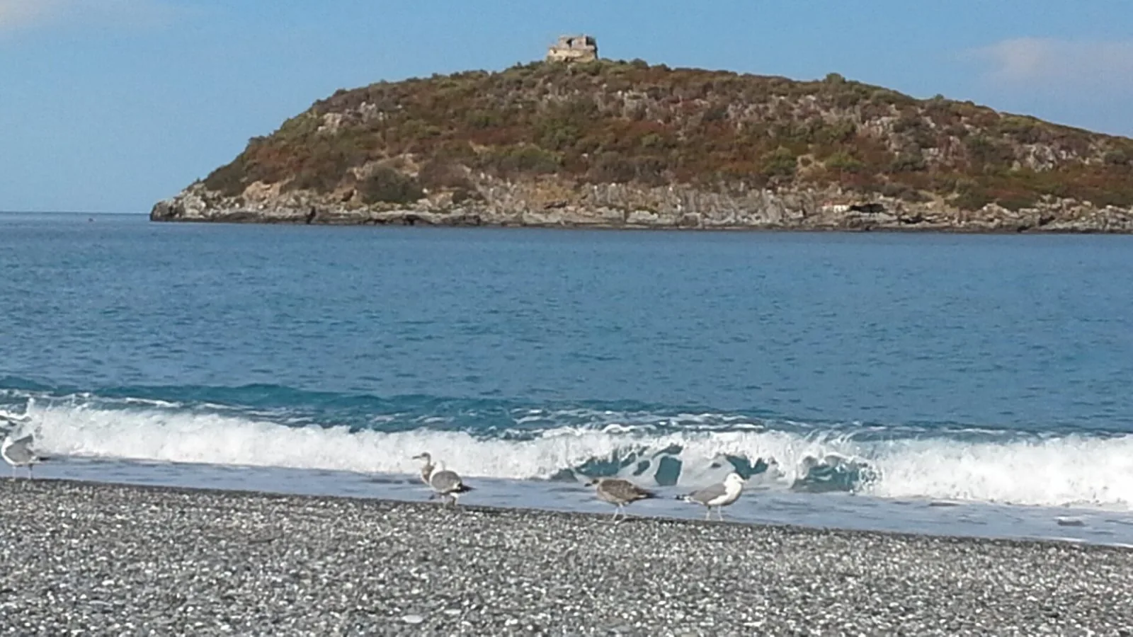 Spiaggia di ciottoli con gabbiani davanti all'Isola di Cirella